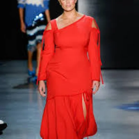 NWT sz 6 $1595 Prabal Gurung dress